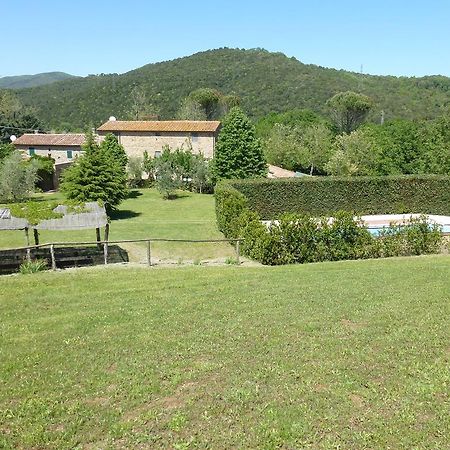 Agriturismo Le Colline Montescudaio Pokoj fotografie