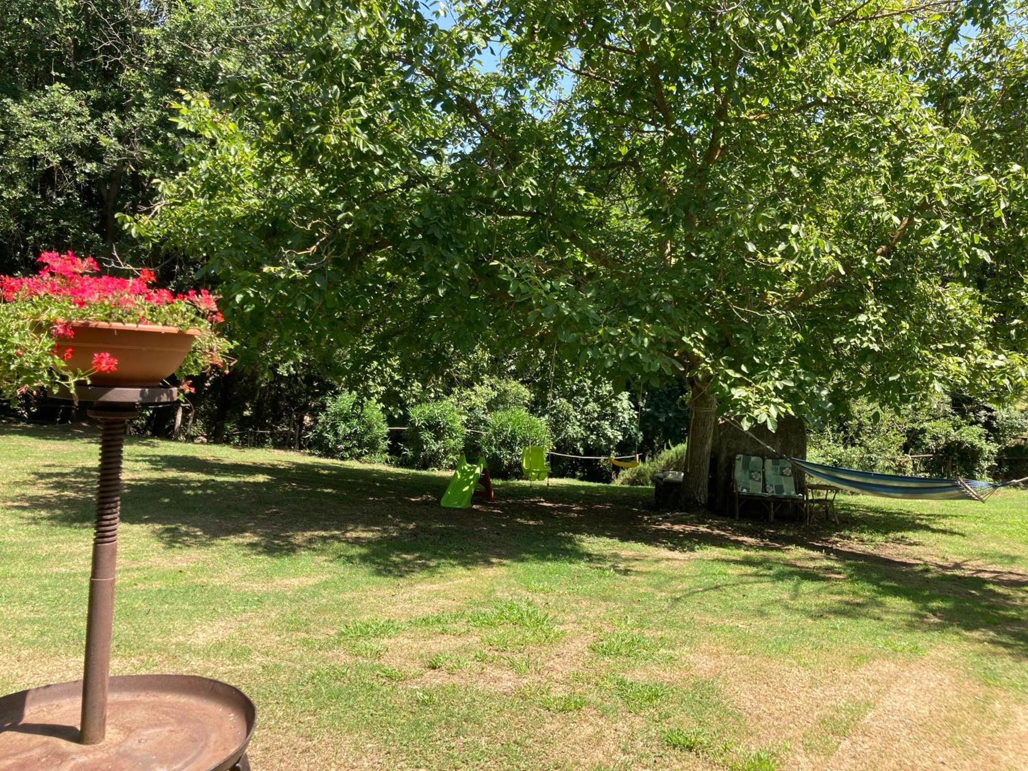 Agriturismo Le Colline Montescudaio Exteriér fotografie