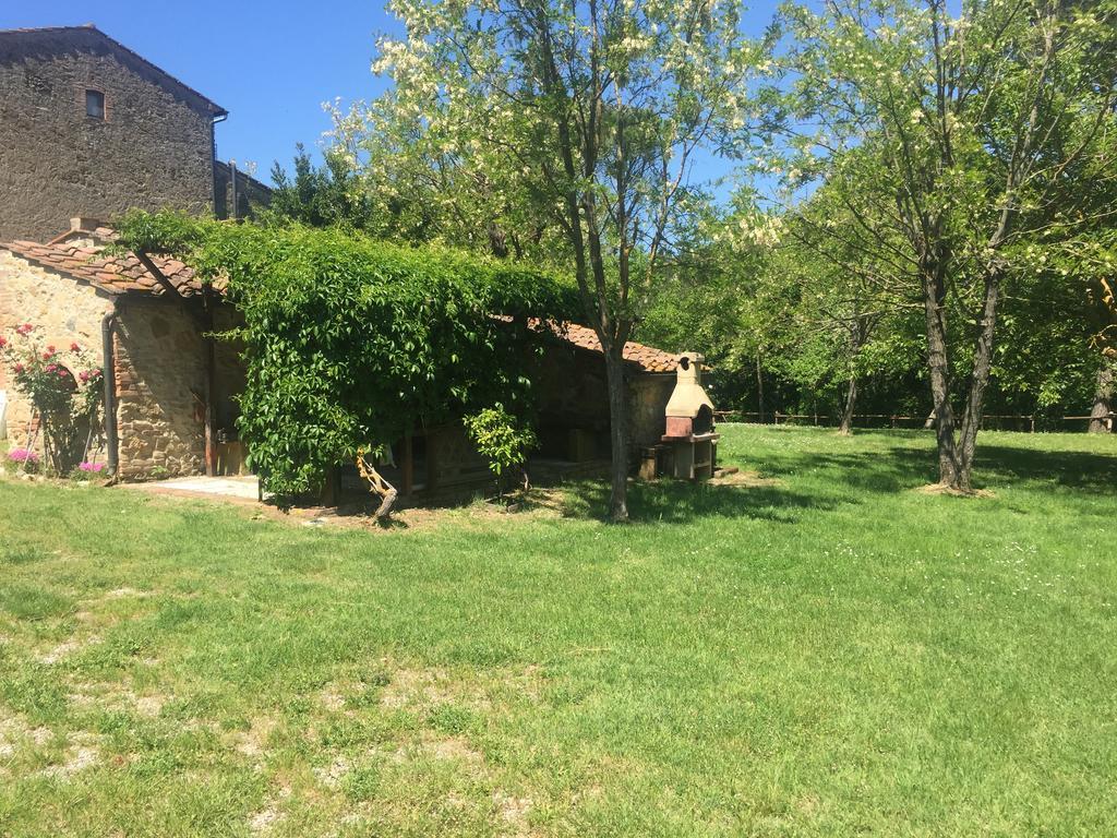 Agriturismo Le Colline Montescudaio Exteriér fotografie