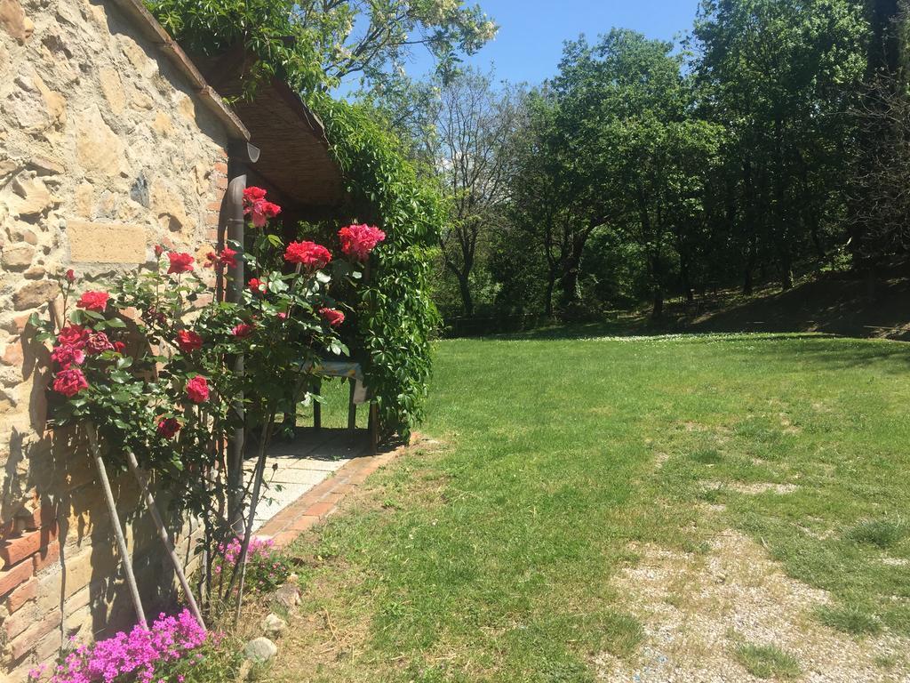 Agriturismo Le Colline Montescudaio Exteriér fotografie